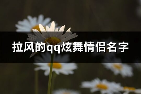 拉风的qq炫舞情侣名字(精选141个)