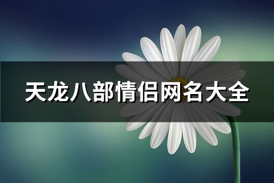 天龙八部情侣网名大全(精选233个)