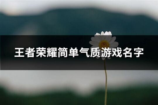 王者荣耀简单气质游戏名字(优选811个)