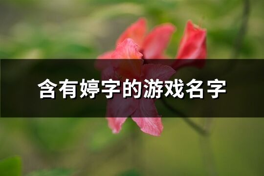 含有婷字的游戏名字(优选122个)