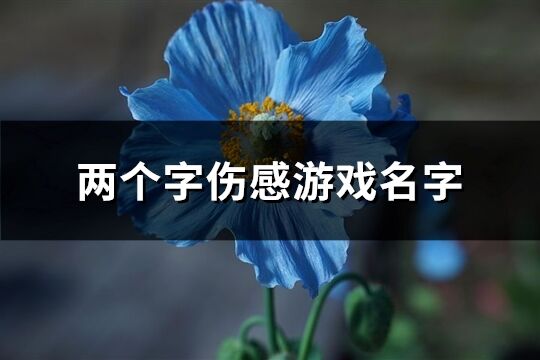 两个字伤感游戏名字(精选727个)