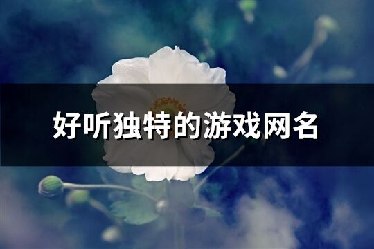 好听独特的游戏网名(358个)