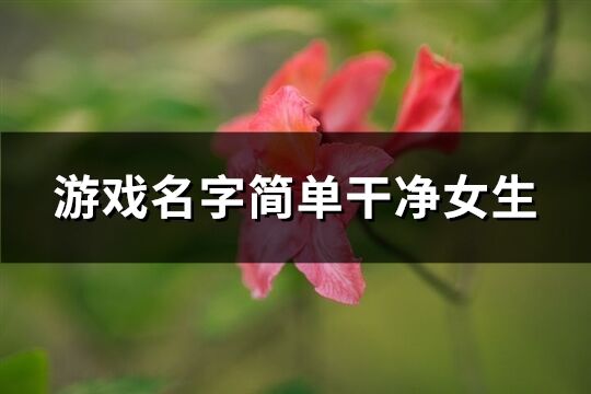 游戏名字简单干净女生(精选246个)