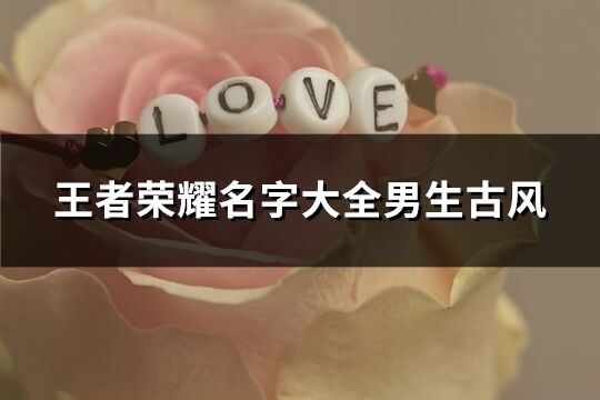 王者荣耀名字大全男生古风(精选238个)