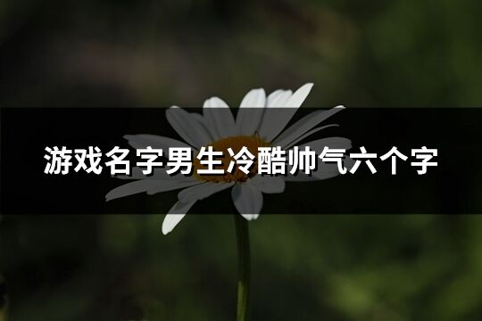 游戏名字男生冷酷帅气六个字(优选441个)