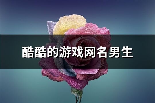 酷酷的游戏网名男生(精选911个)