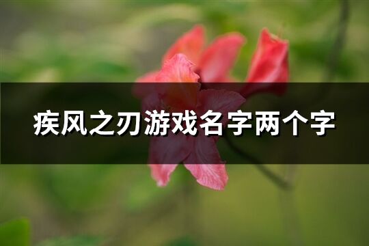 疾风之刃游戏名字两个字(优选166个)