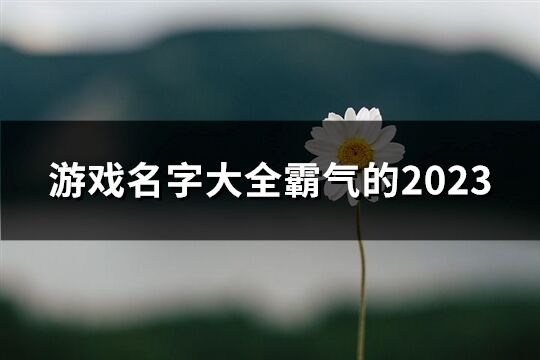 游戏名字大全霸气的2023(65个)