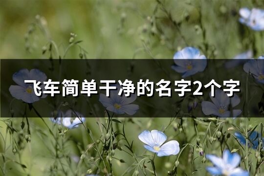 飞车简单干净的名字2个字(优选580个)