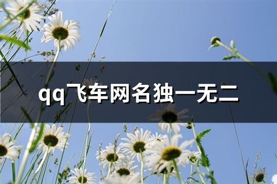 qq飞车网名独一无二(优选80个)