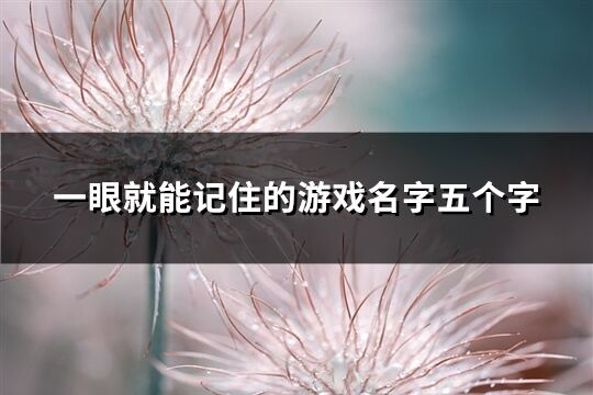 一眼就能记住的游戏名字五个字(优选405个)