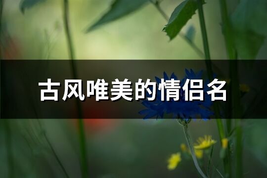 古风唯美的情侣名(优选98个)