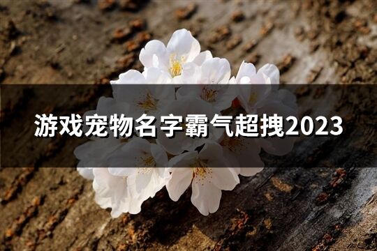 游戏宠物名字霸气超拽2023(优选54个)