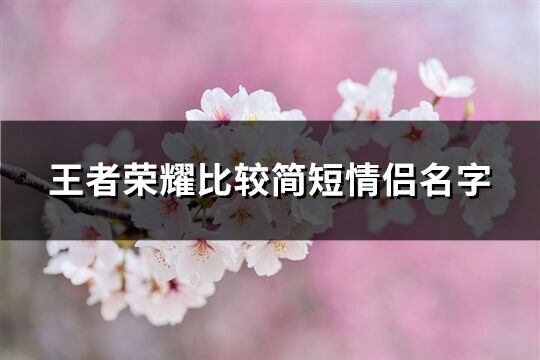 王者荣耀比较简短情侣名字(优选294个)