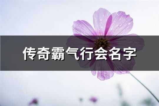 传奇霸气行会名字(680个)