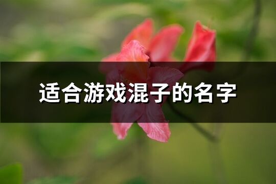 适合游戏混子的名字(共159个)