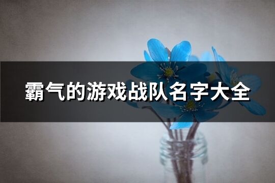 霸气的游戏战队名字大全(精选308个)