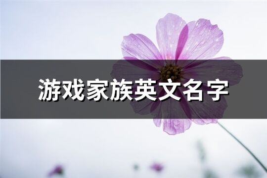 游戏家族英文名字(优选99个)