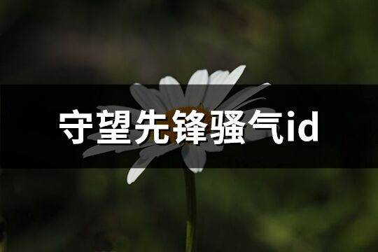 守望先锋骚气id(216个)