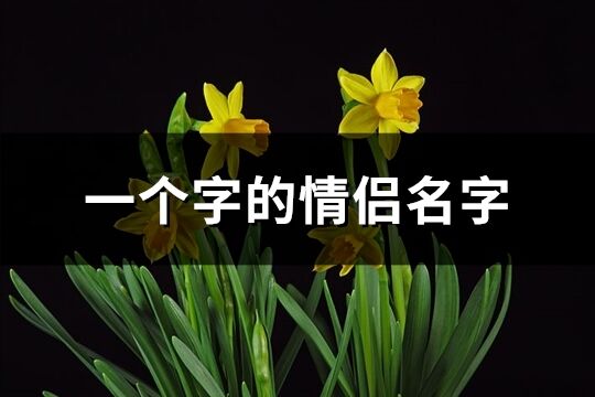 一个字的情侣名字(优选93个)