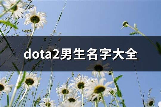 dota2男生名字大全(优选292个)