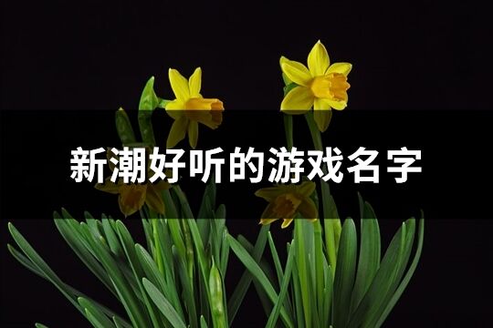 新潮好听的游戏名字(402个)