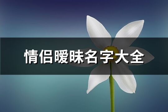 情侣暧昧名字大全(优选86个)