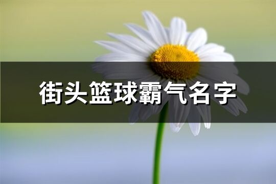 街头篮球霸气名字(优选254个)