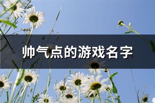 帅气点的游戏名字(509个)