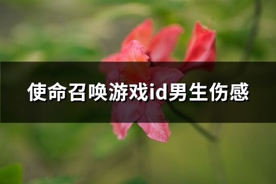 使命召唤游戏id男生伤感(190个)