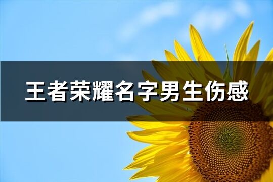 王者荣耀名字男生伤感(优选333个)