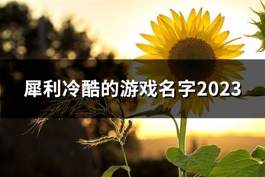 犀利冷酷的游戏名字2023(精选254个)