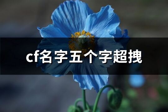 cf名字五个字超拽(精选418个)