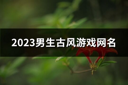 2023男生古风游戏网名(优选515个)