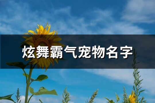 炫舞霸气宠物名字(共439个)