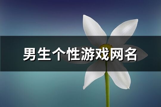 男生个性游戏网名(472个)