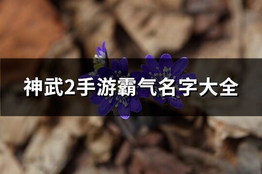 神武2手游霸气名字大全(442个)