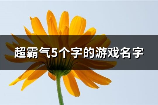 超霸气5个字的游戏名字(617个)