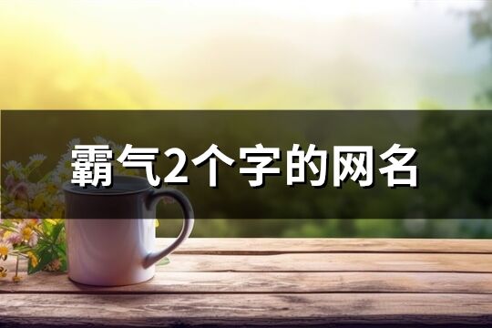 霸气2个字的网名(共877个)