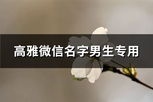 高雅微信名字男生专用(846个)