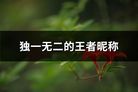 独一无二的王者昵称(优选600个)