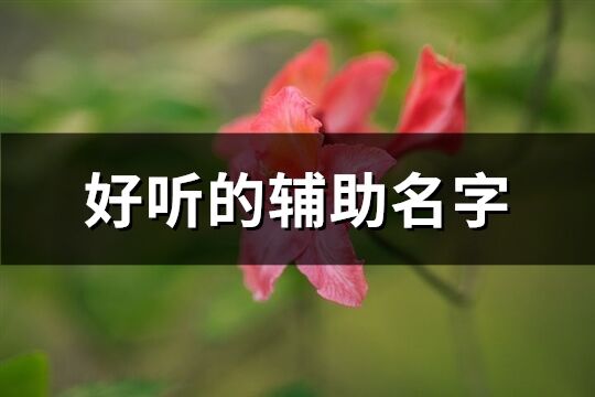 好听的辅助名字(共151个)