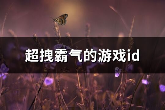 超拽霸气的游戏id(共830个)