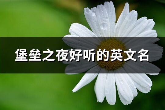 堡垒之夜好听的英文名(共74个)