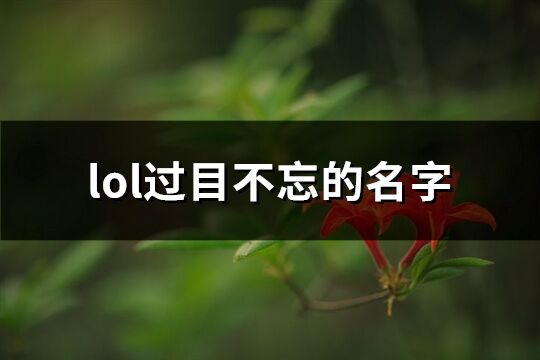 lol过目不忘的名字(优选137个)