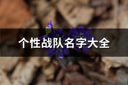 个性战队名字大全(优选540个)