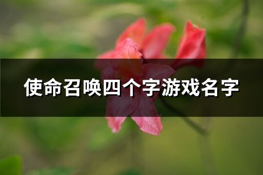 使命召唤四个字游戏名字(共515个)