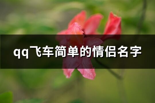 qq飞车简单的情侣名字(精选74个)