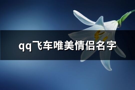 qq飞车唯美情侣名字(精选66个)