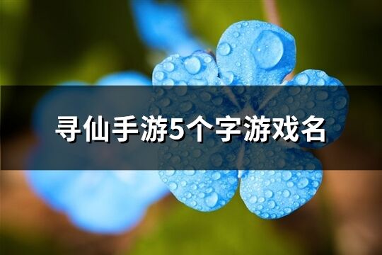 寻仙手游5个字游戏名(共352个)